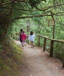 Kitsap Forest Adventure Camp - Week 2 - 2025