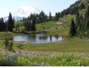 Tacoma Hiking & Backpacking Committee Tacoma Hiking & Backpacking Committee